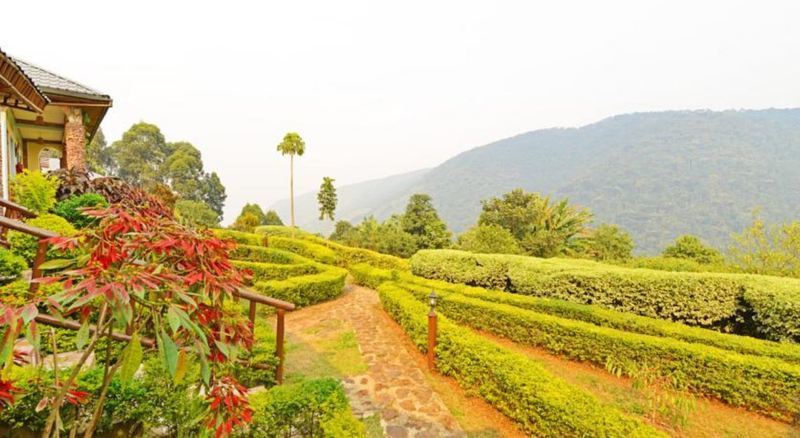 Silverback Lodge Buhoma Esterno foto