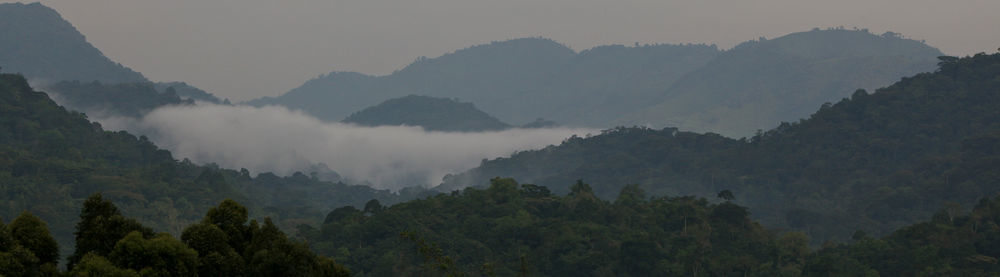 Silverback Lodge Buhoma Esterno foto